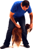 Dog Trick Academy - The Easiest Way To Einstein Your K9!